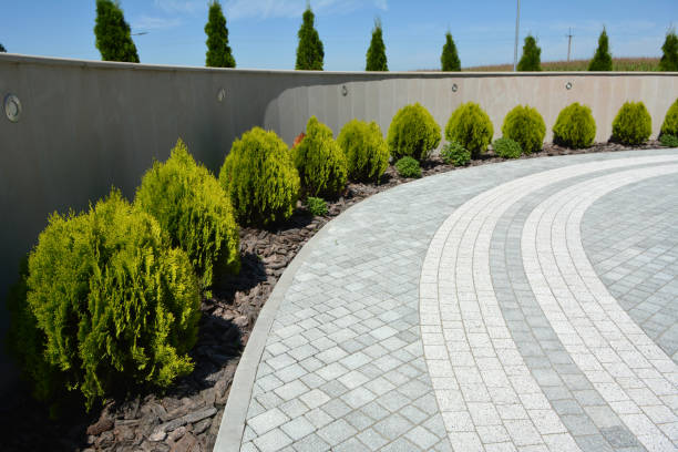 Best Interlocking Driveway Pavers  in Mosinee, WI